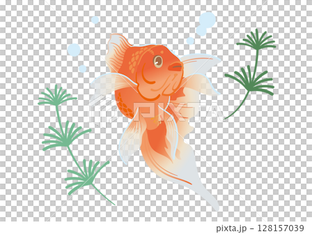 金魚游泳的插圖 128157039
