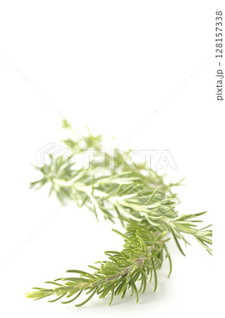 ローズマリーの葉を白背景で撮影 128157338