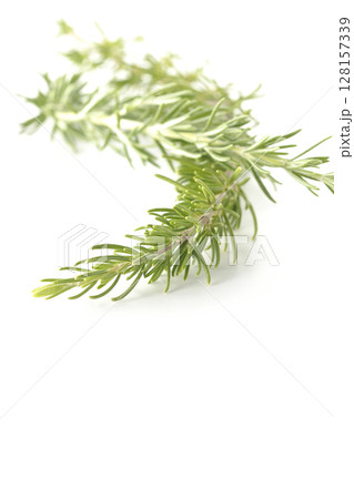 ローズマリーの葉を白背景で撮影 128157339