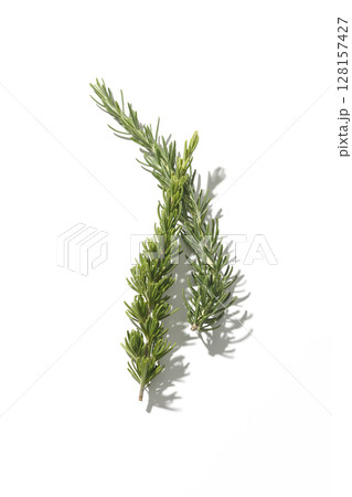 ローズマリーの葉を白背景で撮影 128157427