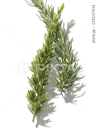 ローズマリーの葉を白背景で撮影 128157432