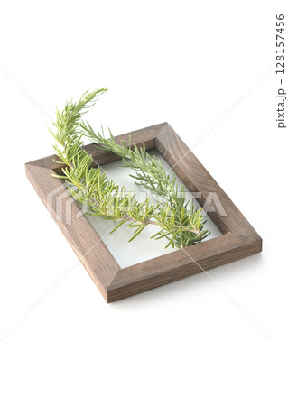 木製の額縁とローズマリーの葉を白背景で撮影 128157456