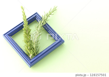 額縁とローズマリーの葉 額縁とローズマリーの葉 128157501
