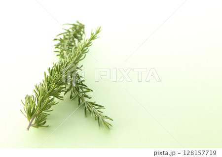 ローズマリーの葉だけを撮影 128157719