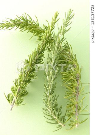 ローズマリーの葉だけを撮影 128157728