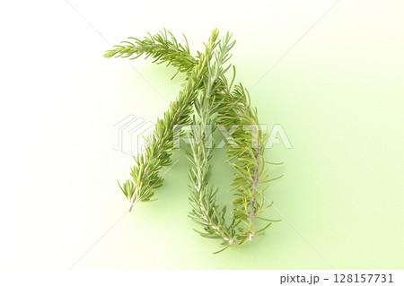 ローズマリーの葉だけを撮影 128157731