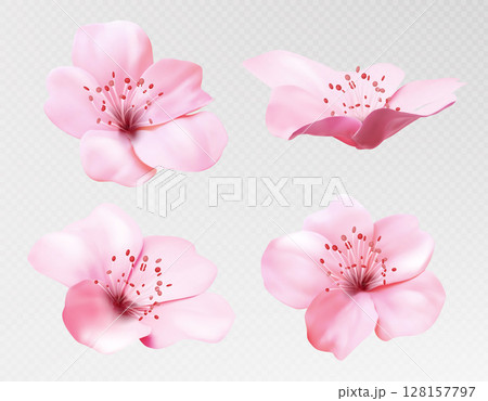 Botanical nature illustrations Botanical nature illustrations 128157797