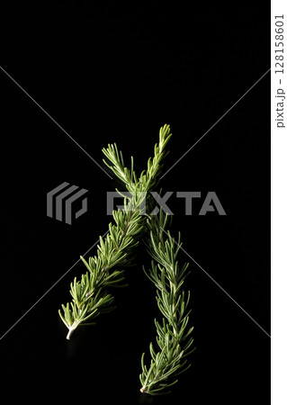 ローズマリーの葉のみを黒背景で撮影 128158601