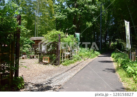 神奈川県　藤沢えびね・やまゆり園入口と新緑 128158827