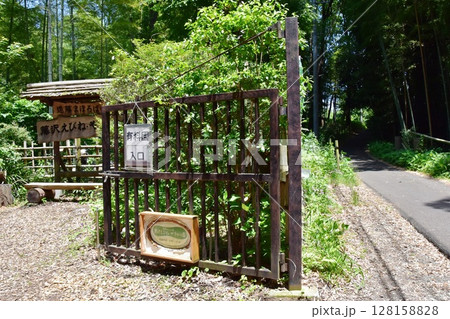 神奈川県 藤沢えびね・やまゆり園入口と新緑 神奈川県 藤沢えびね・やまゆり園入口と新緑 128158828