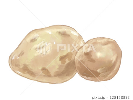 採れたてで美味しそうなじゃがいもの手描き水彩イラスト 128158852