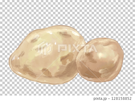 手繪水彩插圖的美味新鮮採摘的土豆 128158852