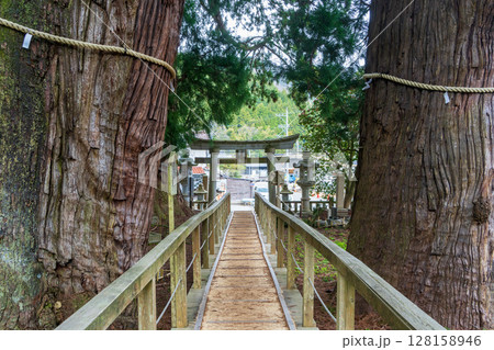 栢野の大杉と鳥居 栢野の大杉と鳥居 128158946
