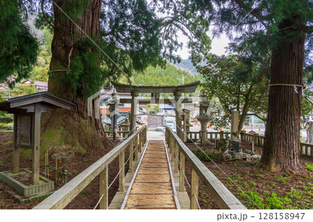 栢野の大杉と鳥居 128158947