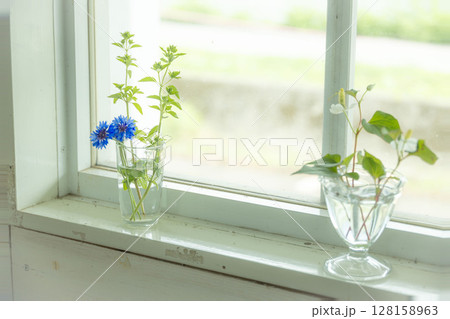 窓辺の花瓶に生けられた花 窓辺の花瓶に生けられた花 128158963