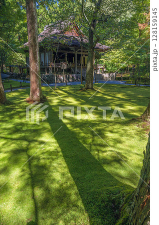 京都大原三千院 美しい苔むす夏の庭園 128159145