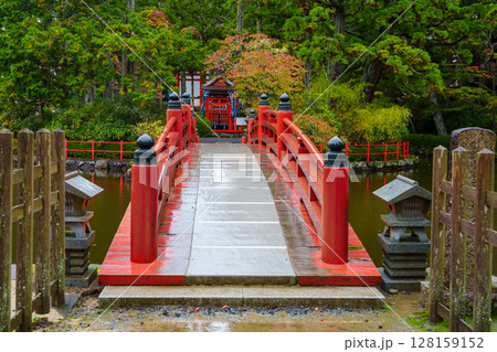 高野山壇上伽藍　善女龍王社 128159152
