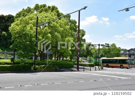 藤沢市 慶応大学前交差点と神奈中バスと周辺の街並み 藤沢市 慶応大学前交差点と神奈中バスと周辺の街並み 128159502