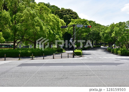 藤沢市　慶応大学前交差点と周辺の街並み 128159503