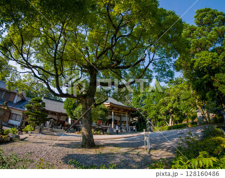 善楽寺 善楽寺 128160486