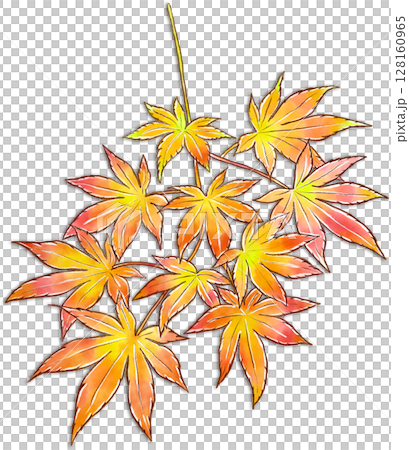 秋葉的插圖 128160965