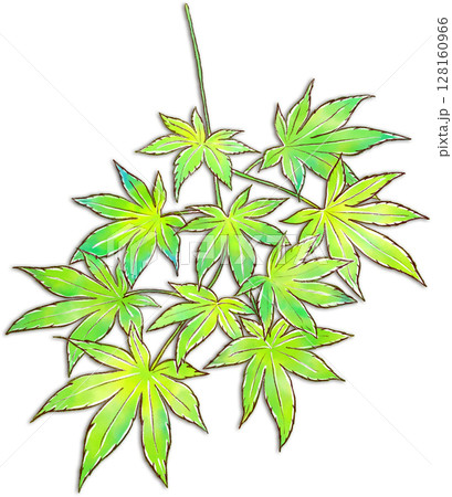 フレッシュな青モミジのイラスト フレッシュな青モミジのイラスト 128160966