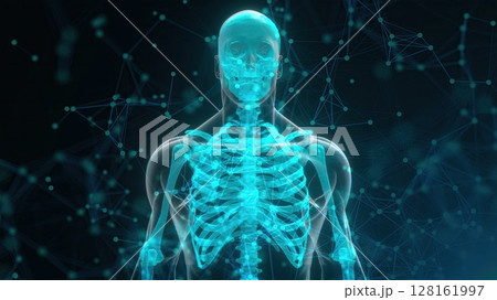 Human xray with connection dots. Computer generated 3d render Human xray with connection dots. Computer generated 3d render 128161997