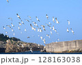 空を舞うウミネコの群れ 128163038