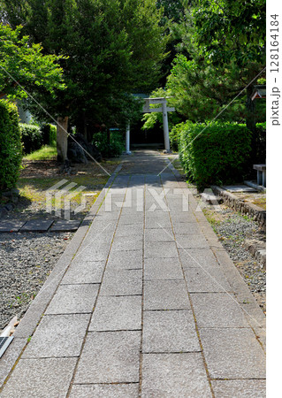 京都府長岡京市 乙訓寺 境内 京都府長岡京市 乙訓寺 境内 128164184