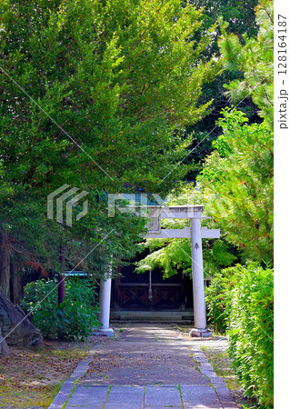 京都府長岡京市　乙訓寺　境内 128164187