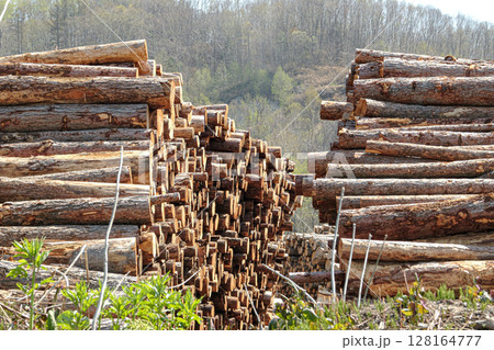 木材置き場 北海道喜茂別町 木材置き場 北海道喜茂別町 128164777