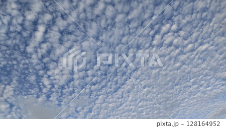 うろこ雲が広がる空 128164952