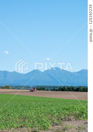 夏の晴れた日の畑と農作業 128165239
