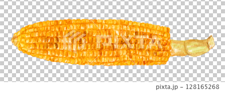 烤玉米手繪水彩插圖 128165268