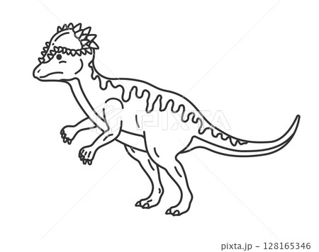 恐竜のパキケファロサウルス（線画）のイラスト 128165346