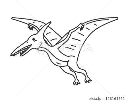 恐竜のプテラノドン（線画）のイラスト 128165351
