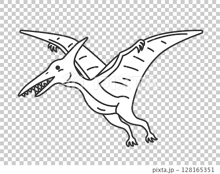 恐竜のプテラノドン（線画）のイラスト 128165351