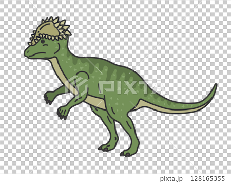 恐竜のパキケファロサウルス（線画カラー）のイラスト 128165355