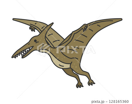 恐竜のプテラノドン（線画カラー）のイラスト 128165360