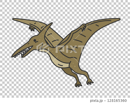 Illustration of the dinosaur Pteranodon (line drawing color) 128165360