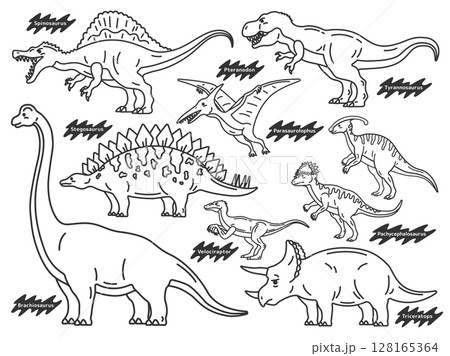 さまざまな恐竜(線画)のイラストセット さまざまな恐竜(線画)のイラストセット 128165364