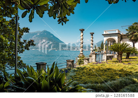 Lush Botanical Garden of Villa Monastero Overlooking Lake Como: Elegant Historic Estate Surrounded by Mediterranean Flora and Alpine Scenery 128165588