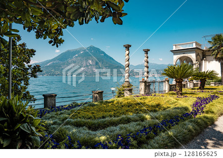 Lush Botanical Garden of Villa Monastero Overlooking Lake Como: Elegant Historic Estate Surrounded by Mediterranean Flora and Alpine Scenery 128165625