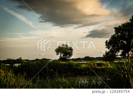 ラムサール条約の宮城県伊豆沼の美しい夕景 128165754