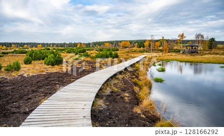 A serene wooden path winds through the colorful autumn landscape of Pernink peat bog in the Ore Mountains, surrounded by vibrant foliage and tranquil waters, inviting exploration and reflection. 128166292