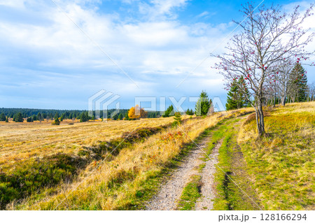 A tranquil pathway meanders through a vast autumn landscape, where golden grasses sway gently under a blue sky scattered with clouds, surrounded by trees showcasing vibrant fall colors. A tranquil pathway meanders through a vast autumn landscape, where golden grasses sway gently under a blue sky scattered with clouds, surrounded by trees showcasing vibrant fall colors. 128166294