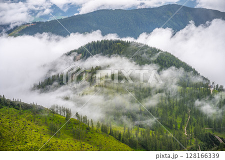 Low Tauern Mountain landscape showcases rolling hills shrouded in mist. Lush greenery and towering trees create a serene environment that invites exploration and adventure. 128166339