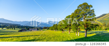 A breathtaking view of the Low Tauern mountains in Austria showcases lush green fields and vibrant trees. The clear sky adds to the tranquility of this picturesque setting, perfect for nature lovers. 128166345