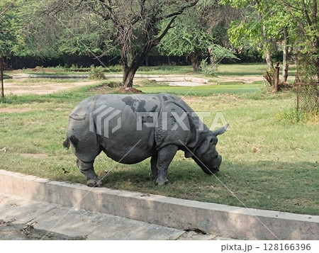Picture of rhinoceros with selective focus 128166396