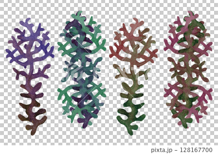 Fire coral, inhabitant of coral reefs. Watercolor illustration of multicolored reticulated fire coral isolated on white background for marine design, snorkeling, diving, book, art, craft, textile. Fire coral, inhabitant of coral reefs. Watercolor illustration of multicolored reticulated fire coral isolated on white background for marine design, snorkeling, diving, book, art, craft, textile. 128167700